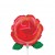 Mini Red Rose...